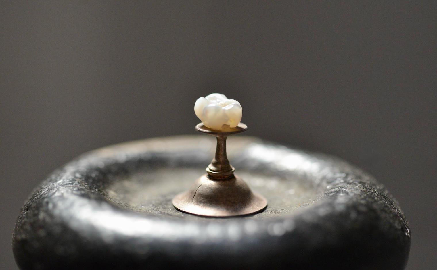 Milk Pearl