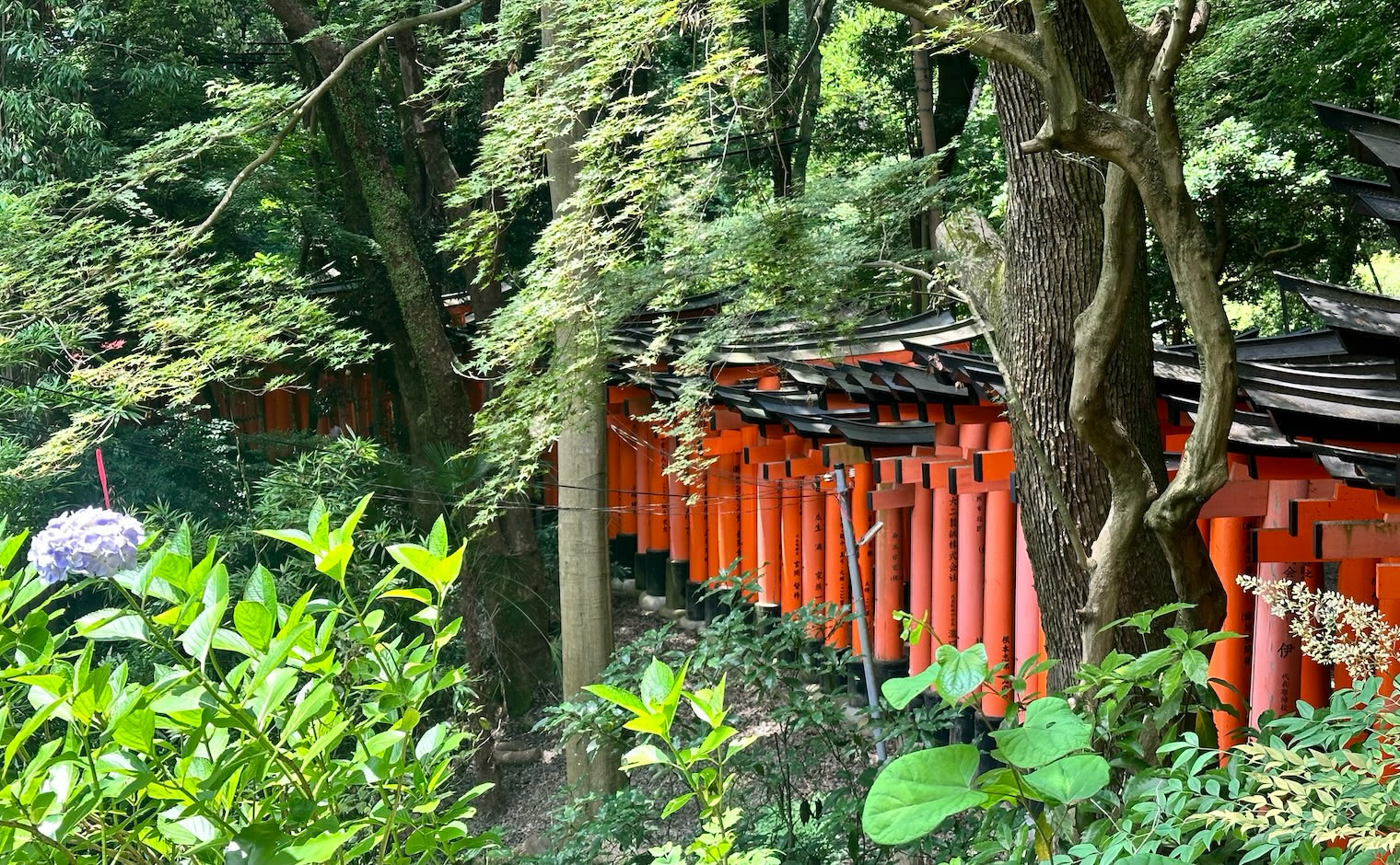 お神楽