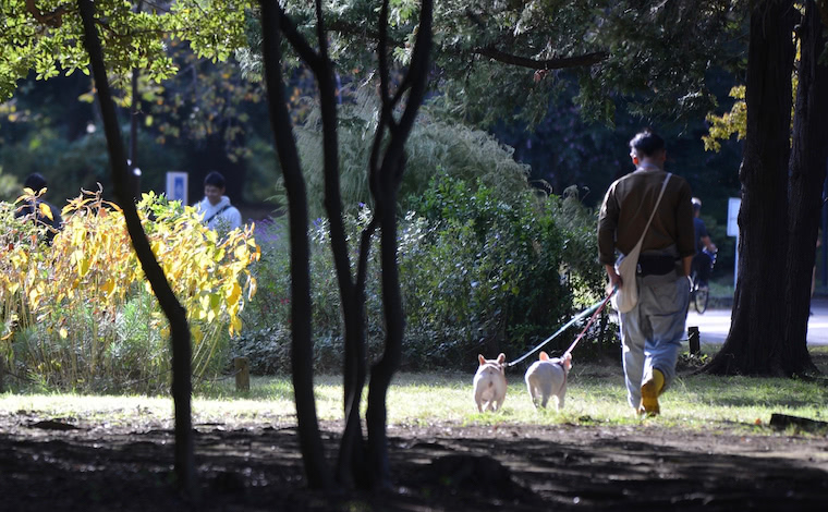今年もあと60日
